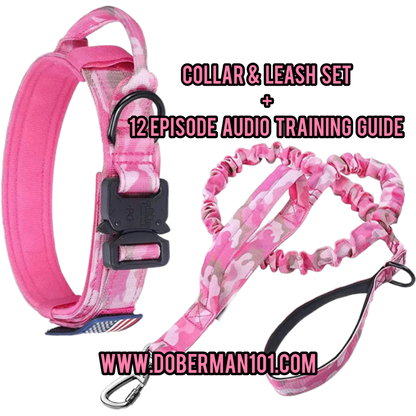 Tactical Collar or/& Leash